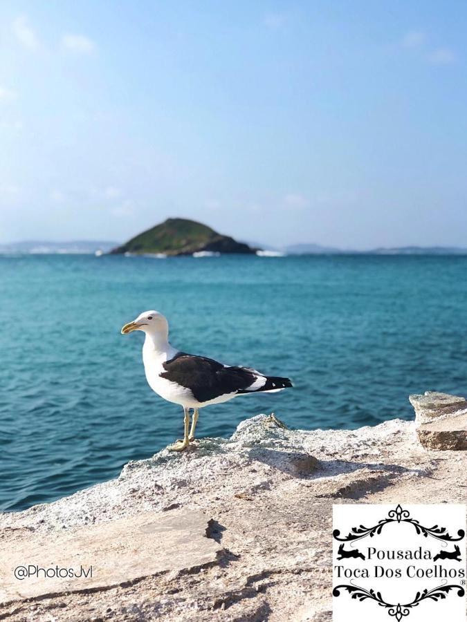 Pousada Toca Dos Coelhos Arraial do Cabo Εξωτερικό φωτογραφία