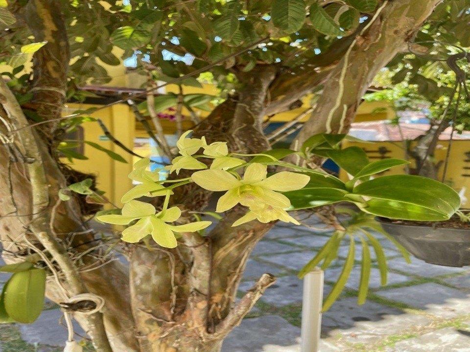 Pousada Toca Dos Coelhos Arraial do Cabo Εξωτερικό φωτογραφία